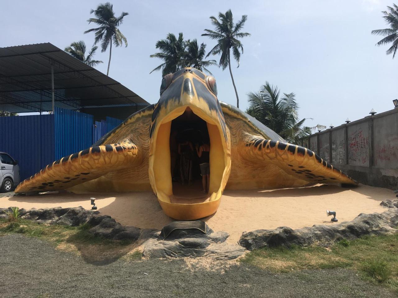 Raja Beach Hotel Balapitiya Buitenkant foto