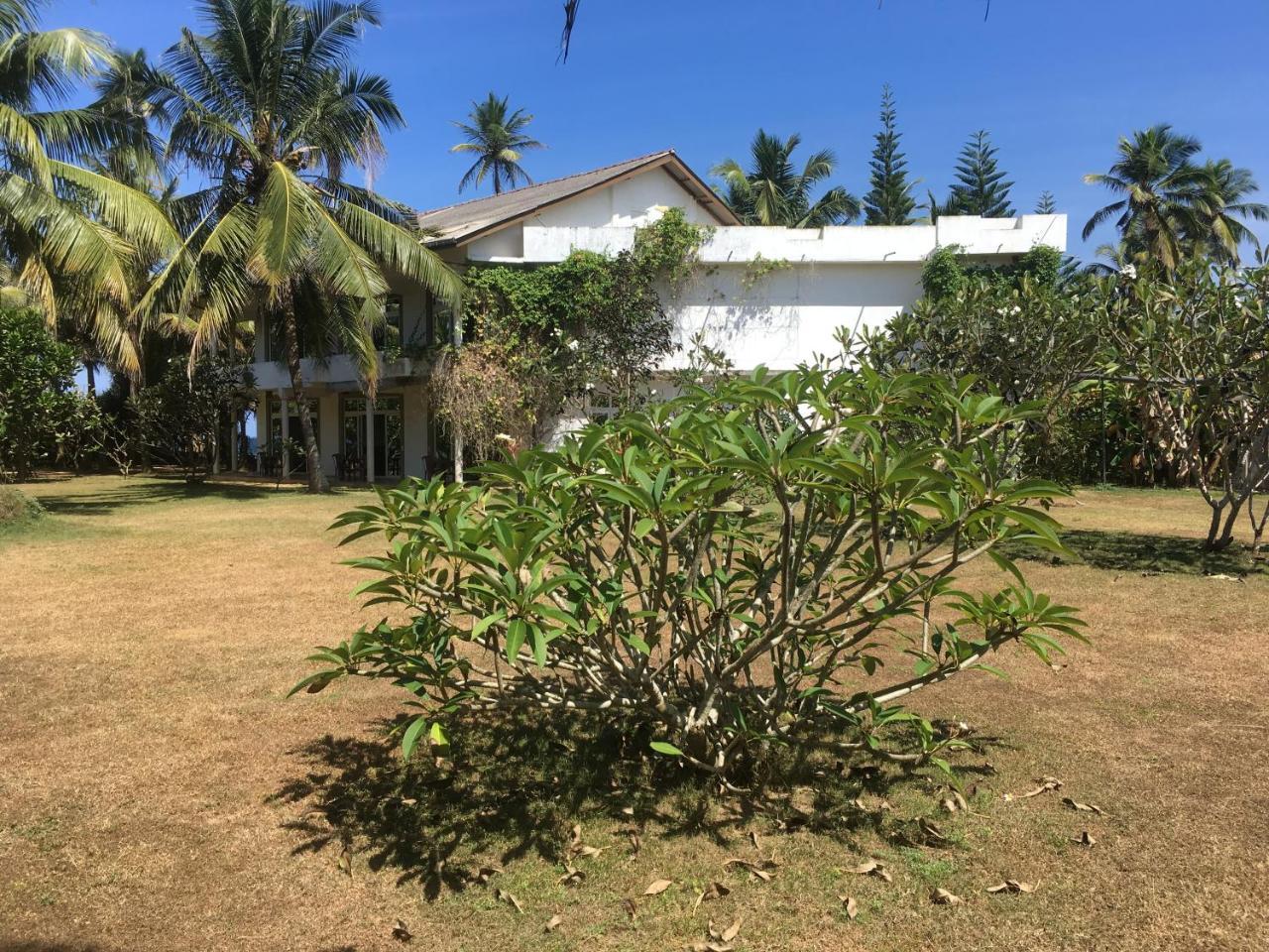 Raja Beach Hotel Balapitiya Buitenkant foto